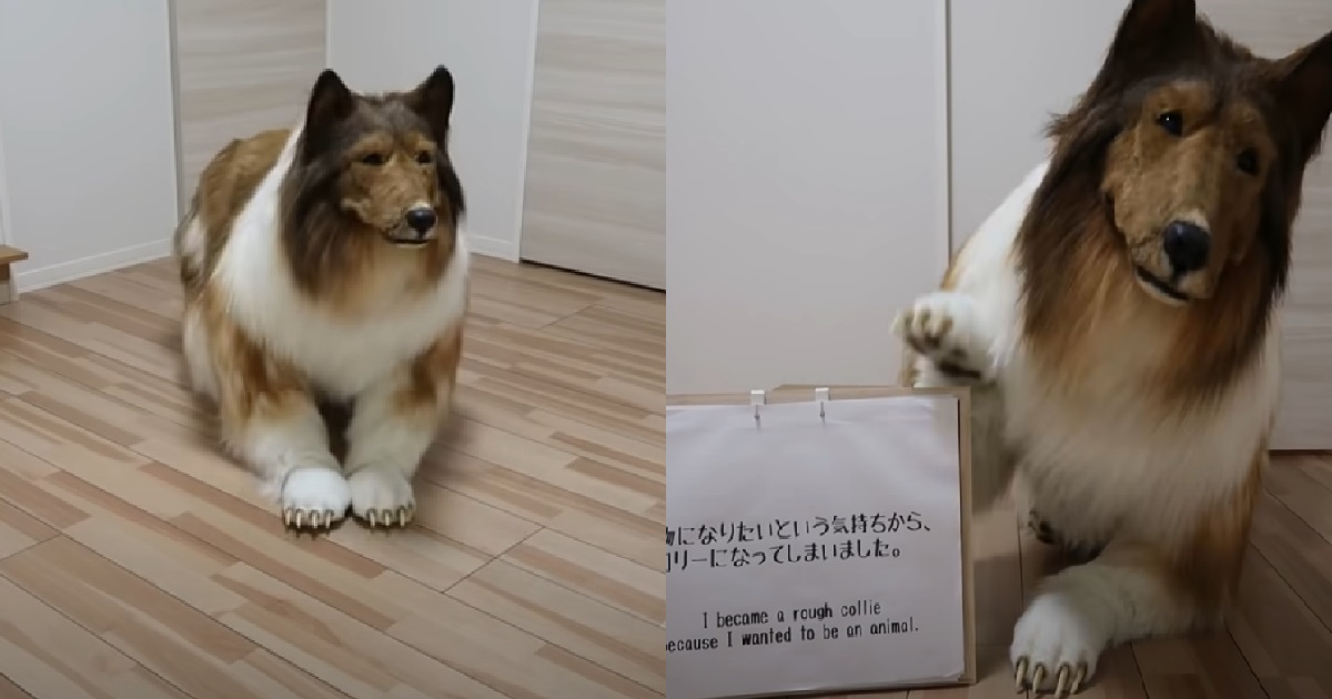 MAN SPENT $20K TO FULFIL HIS LIFELONG DREAM OF TURNING INTO AN ANIMAL