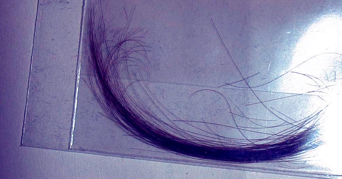 BF DISCOVERS GF’S COLLECTION OF MEN’S HAIR, SHE COLLECTS THE HAIR OF ALL HER EX