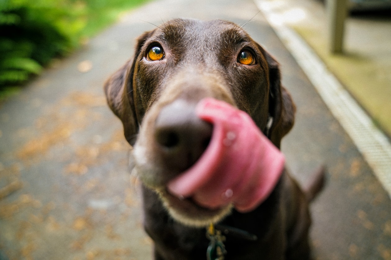 WAITER MEETS GIRL IN PUB & SENDS HER HOME BUT SUDDENLY STARTS LICKING HER PLAM