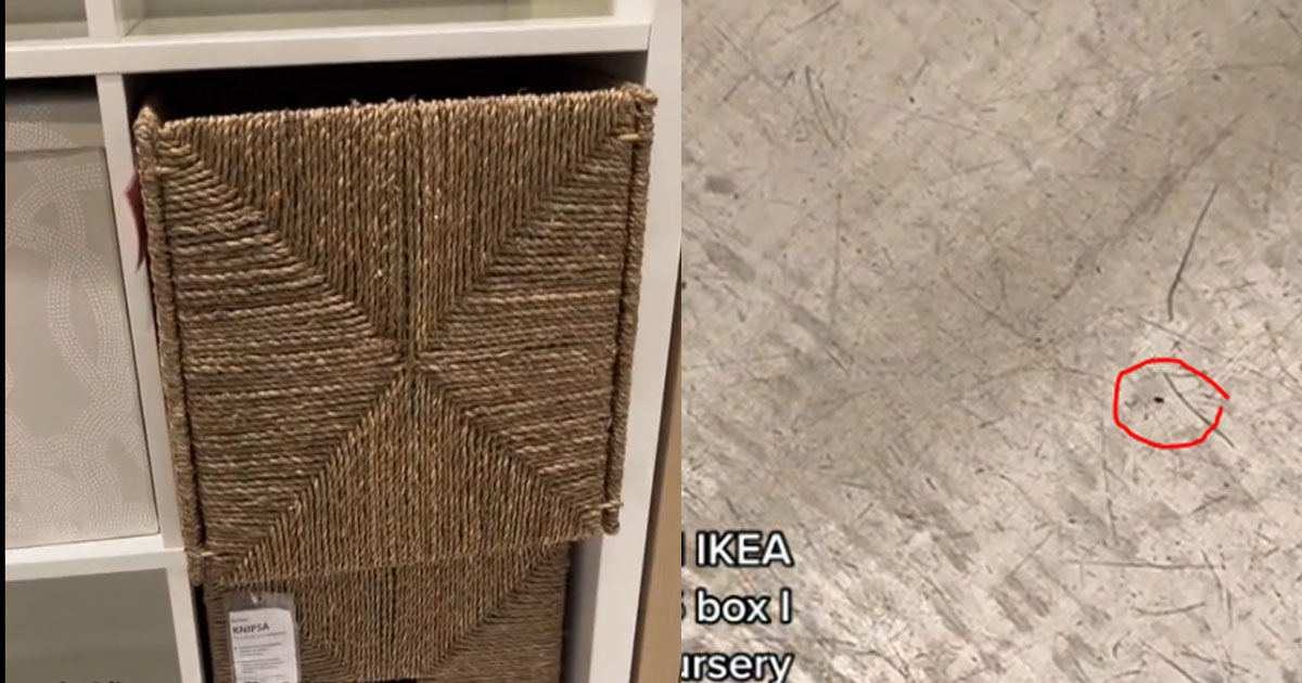 IKEA BASKET ALLEDGELY INFESTED WITH BUGS, WOMAN GOES BACK IKEA TO PROVE IT