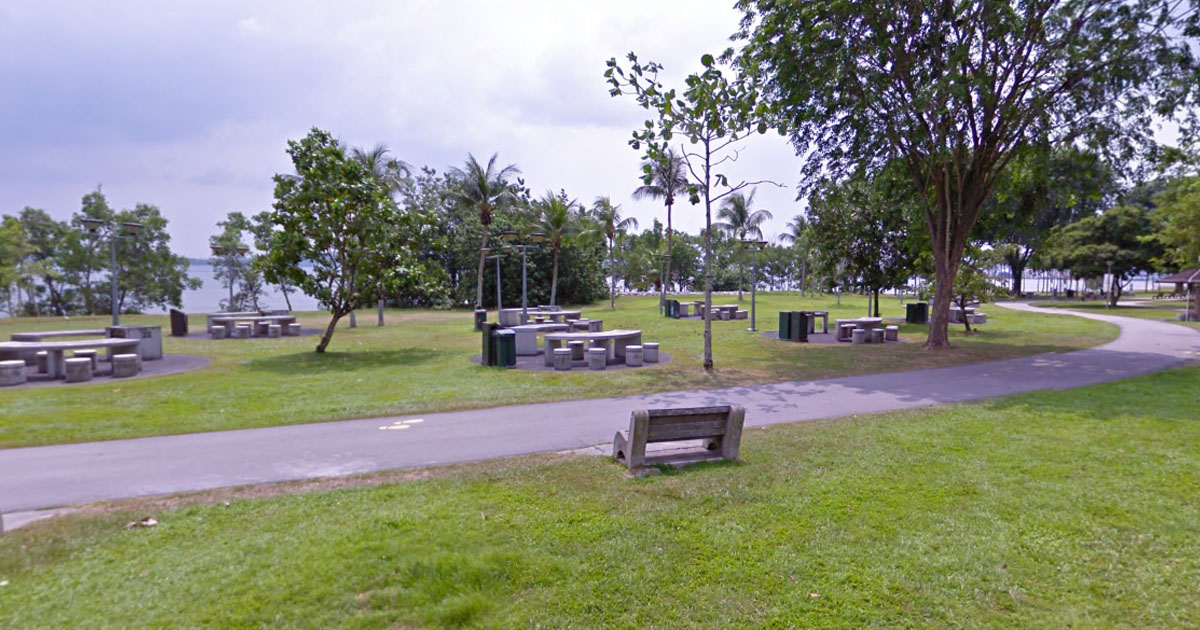 FOETUS ABANDONED NEAR BARBEQUE PIT AT PASIR RIS PARK