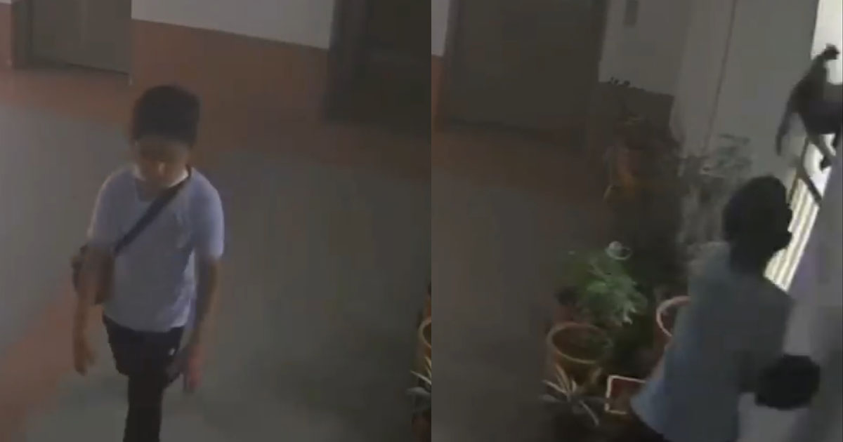 CAT KILLER AT BOON LAY: THREW CAT FROM HDB, ACTIONS ALL CAUGHT BY CCTV