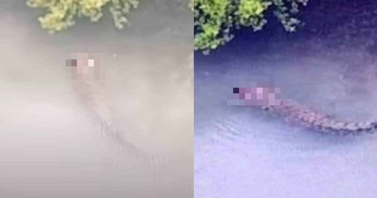 1 Y.O BOY EATEN ALIVE BY CROCODILE WHILE FISHING WITH HIS FATHER IN RIVER