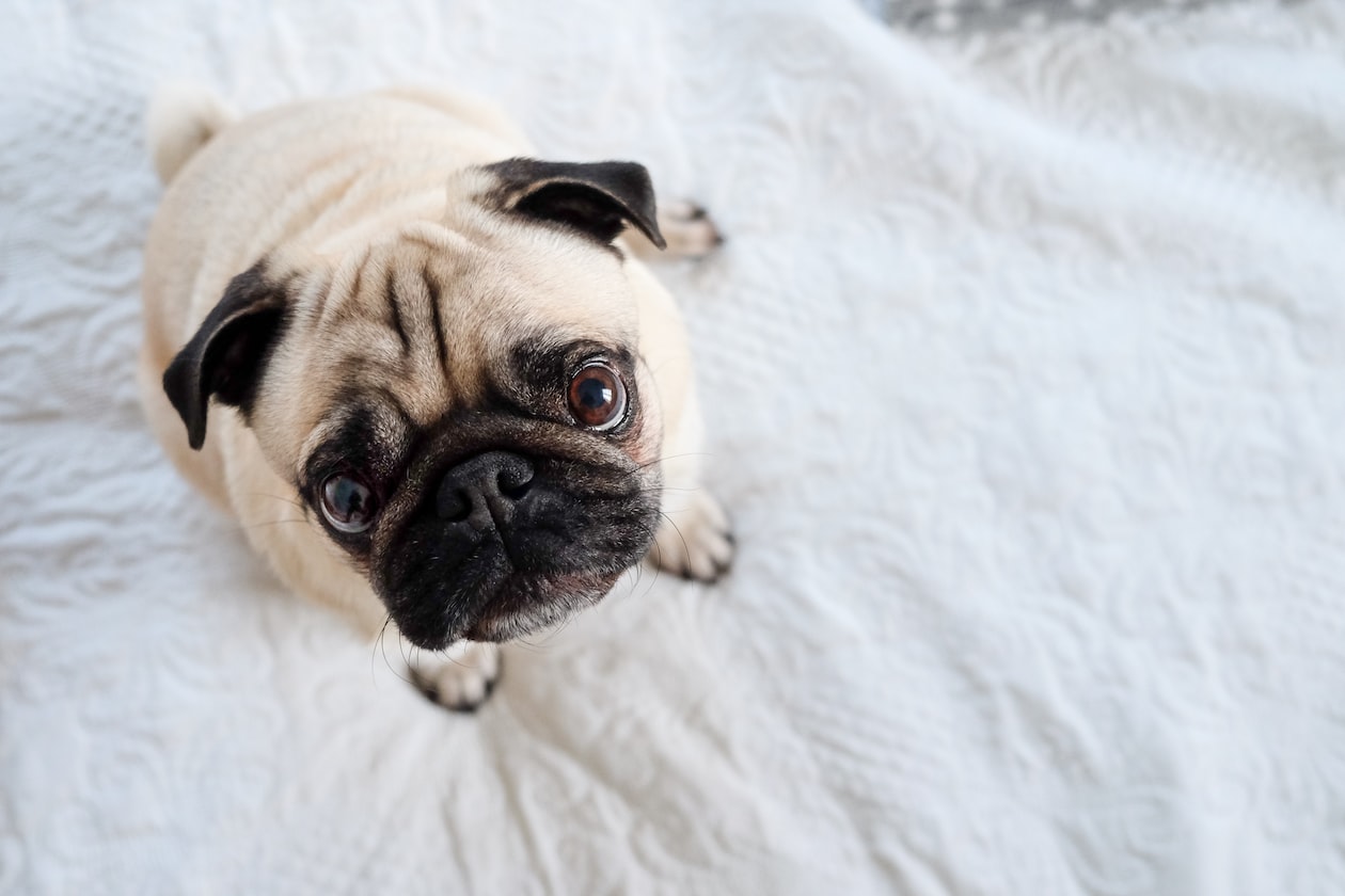 OVERLY JEALOUS & NEEDY MAN IN 40s CRIES AND BEG EX-GF TO RETURN