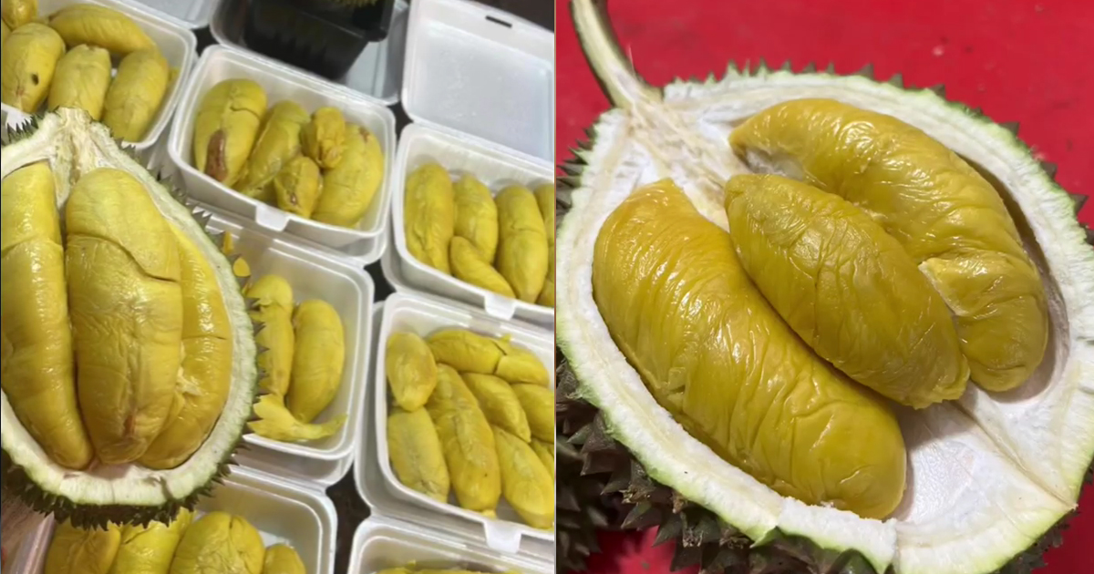 DURIAN PRICES DROPPED $10 FOR MSW, HIGHEST DURIAN YIELD IN LAST 4 YEARS