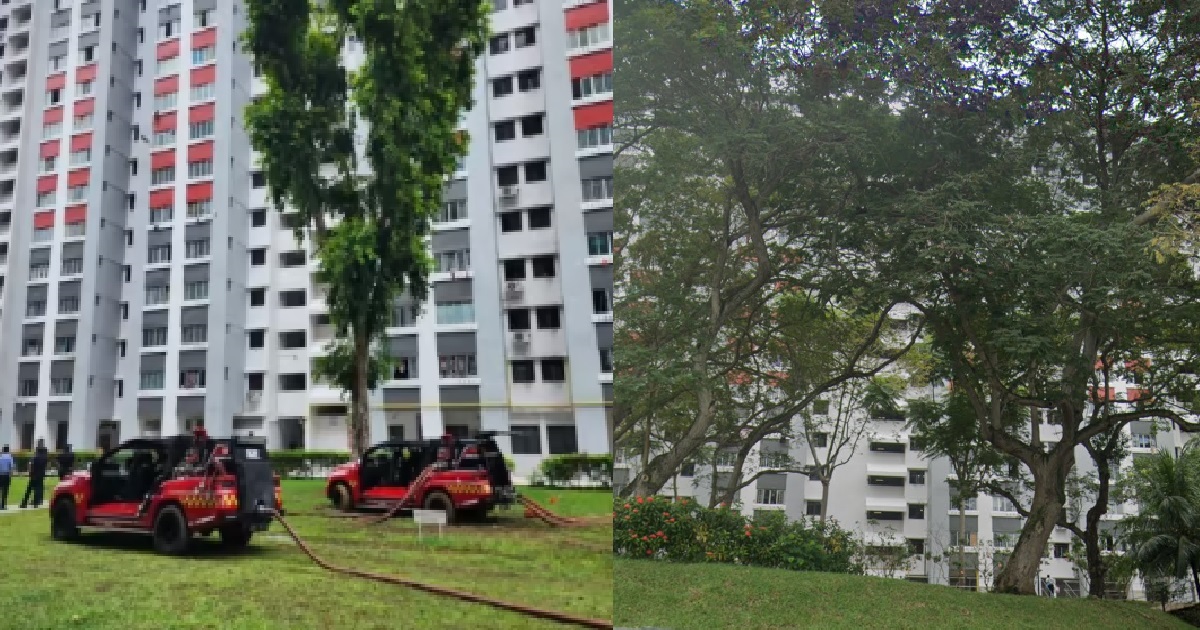 19 Y.O NSF WHO WAS KILLED FIGHTING FIRE, MUM HEARTBROKEN WHILE IDENTIFYING SON’S BODY