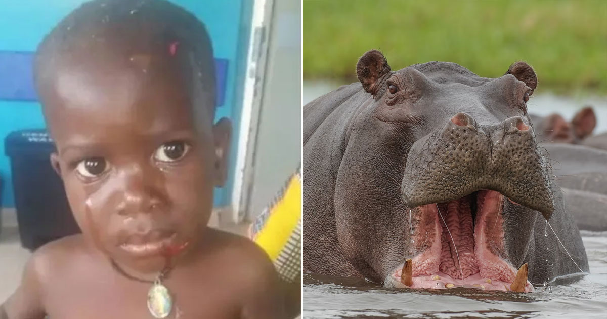 2 Y.O SWALLOWED ALIVE BY HIPPO AND LATER SPIT OUT IN UGANDA