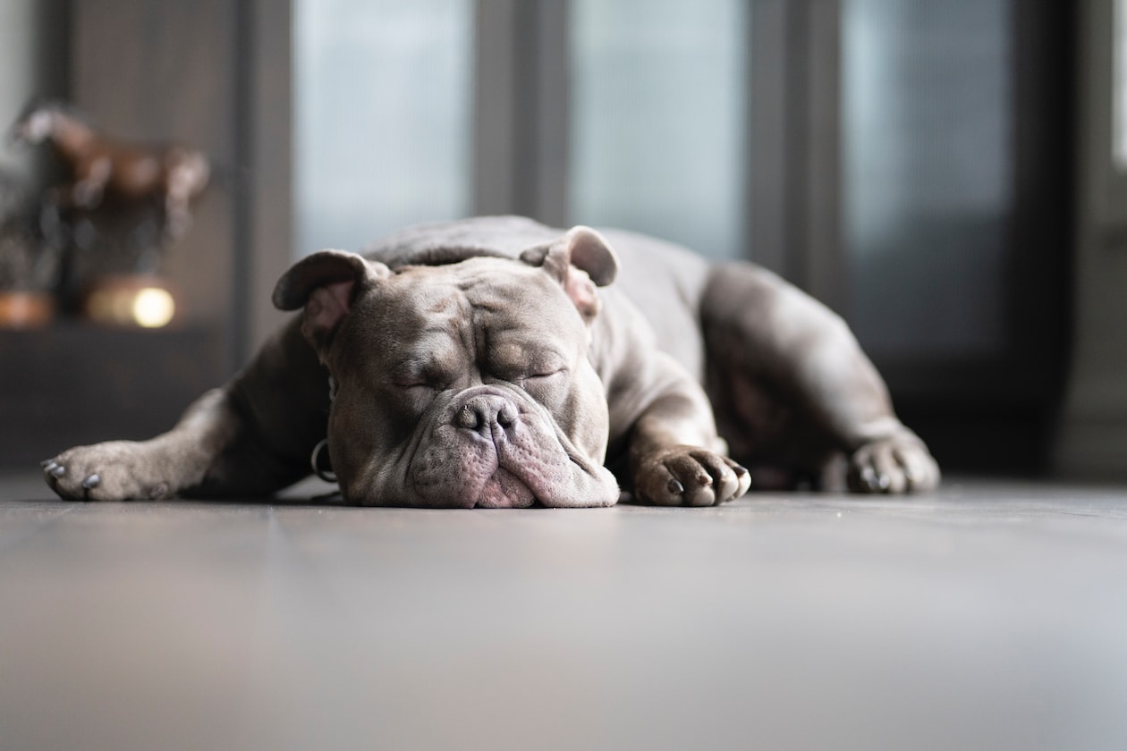 WIFE MOVES OUT AFTER 3 MONTHS OF MARRIAGE CAUSE HUSBAND SNORES TOO LOUD