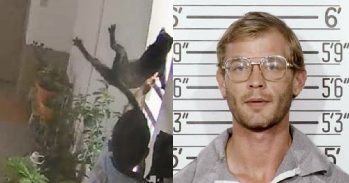 NETIZENS SAID CAT KILLING BOY SHOULD NOT BE WALKING FREE, COULD BE NEXT JEFFREY DAHMER