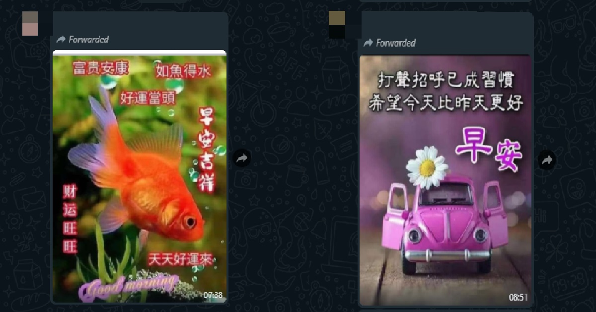 NETIZEN ASKS WHY DO OLD PEOPLE LIKE TO SEND “GOOD MORNING” WHATSAPP PICS EVERY DAY