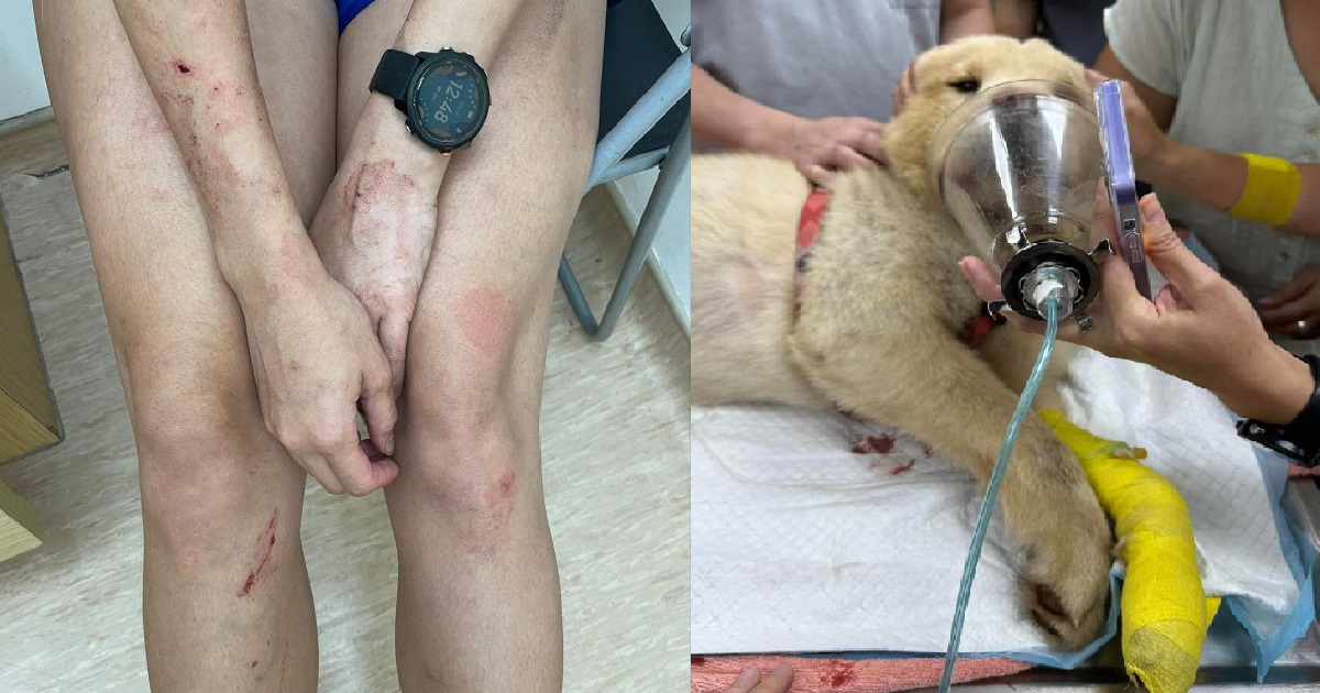 HIT & RUN DRIVER RAN OVER WOMAN & HER DOG @ LOYANG, DRAGGED DOG UNDER THE CAR