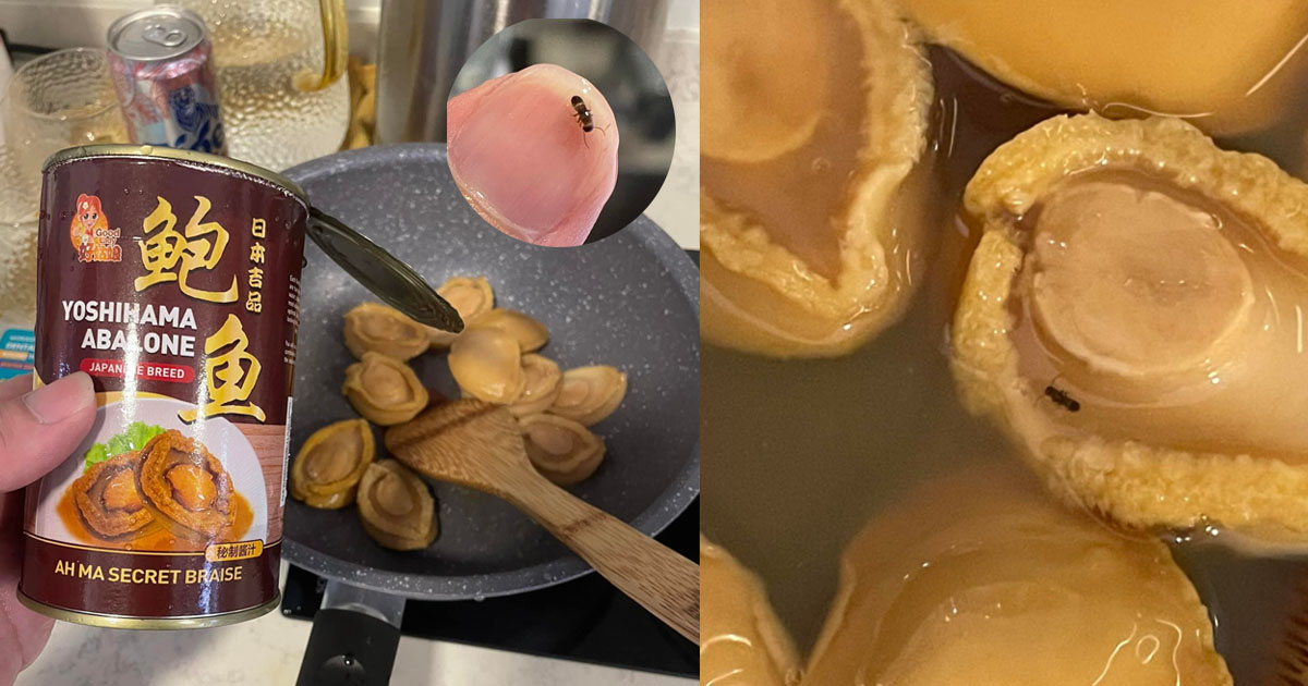 MAN FOUND A BABY COCKROACH INSIDE AH MA SECRET ABALONE