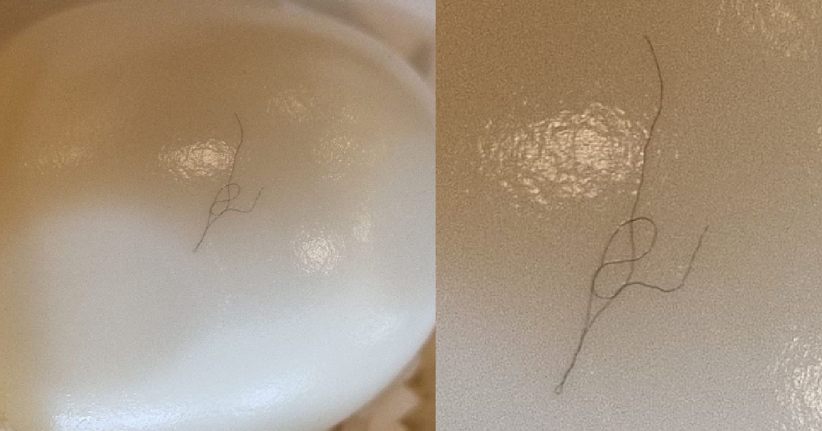 MAN FOUND HAIR ON HIS FOOD, BUT EATERY STAFF INSISTS THAT IT’S “BANANA LEAF”