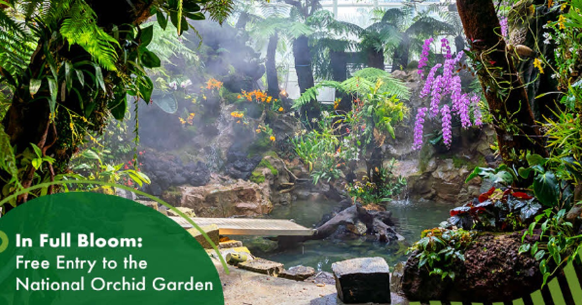 FREE ADMISSION TO NATIONAL ORCHID GARDEN ON CNY DAY 1 AND DAY 2
