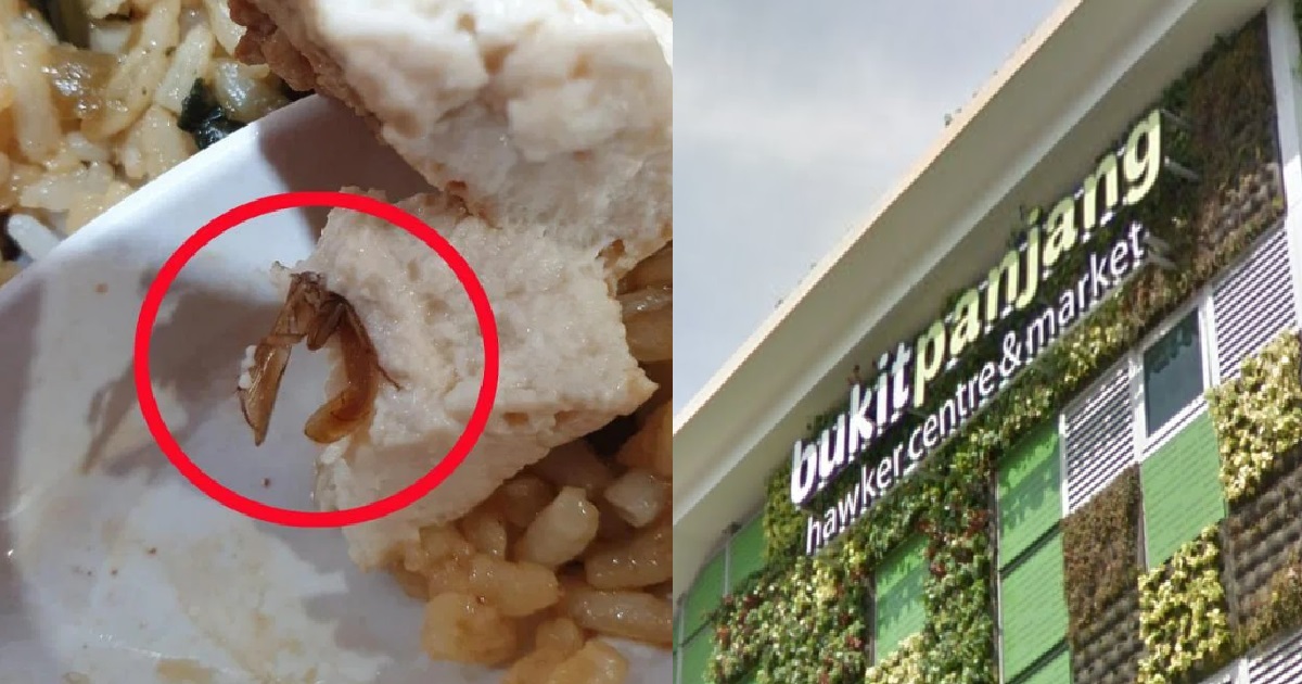 WOMAN FOUND HALF A COCKROACH IN HER TOFU AFTER TAKING A BITE OF IT