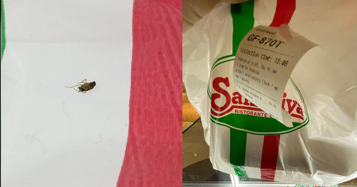 MAN FOUND COCKROACH IN SAIZERIYA PLASTIC BAG, THEY REFUSE TO CHANGE HIS FOOD