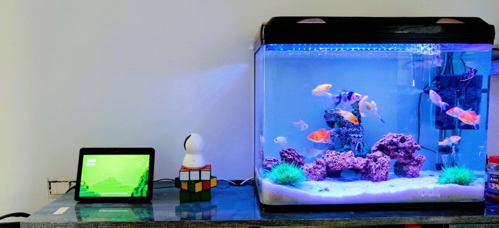 MAN TOOK $200 FROM GF TO BUY “SCHOOL MATERIAL” BUT USE IT TO GO ‘FISH TANKS’