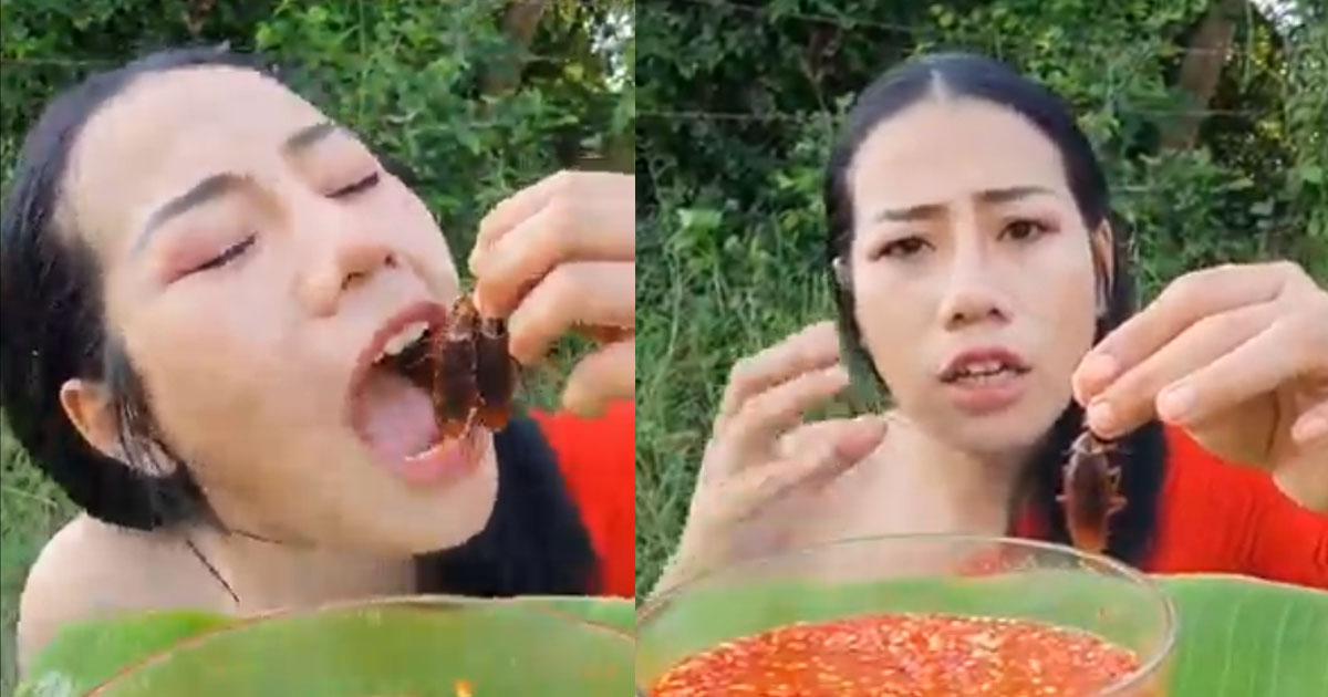 WOMAN EATS COCKROACH WITH CHILLI AND SAYS IT’S DELICIOUS