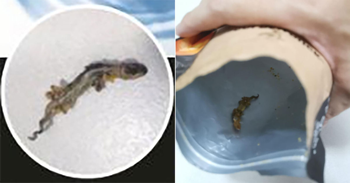 MAN EATS GOLDEN DUCK BRAND SALTED EGG FISH SKIN, BUT INSIDE GOT LIZARD