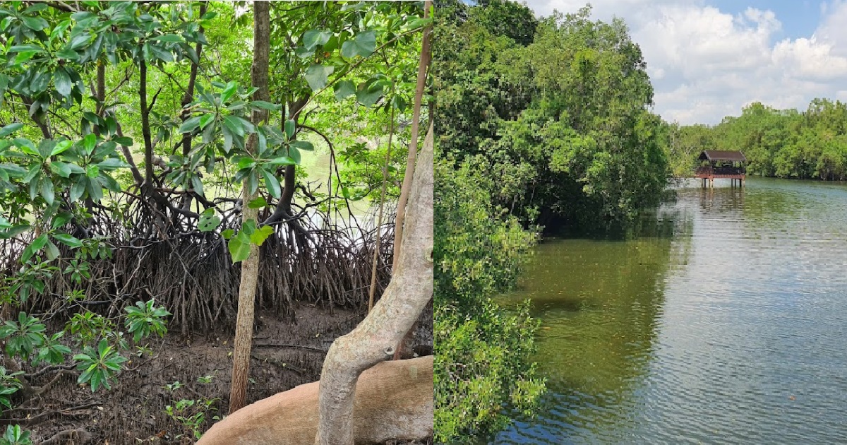 MAN AND HIS 2 Y.O DAUGHTER FELL THROUGH GAP AT SUNGEI BULOH BRIDGE, ALMOST DROWNED