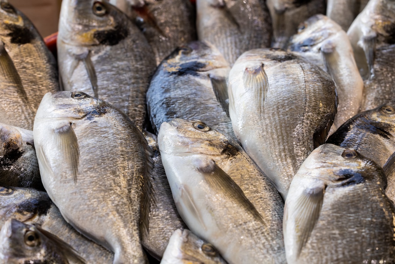 MAN ORDERS FISH IN CAI FAN MEAL, THINKS HE’S RICH