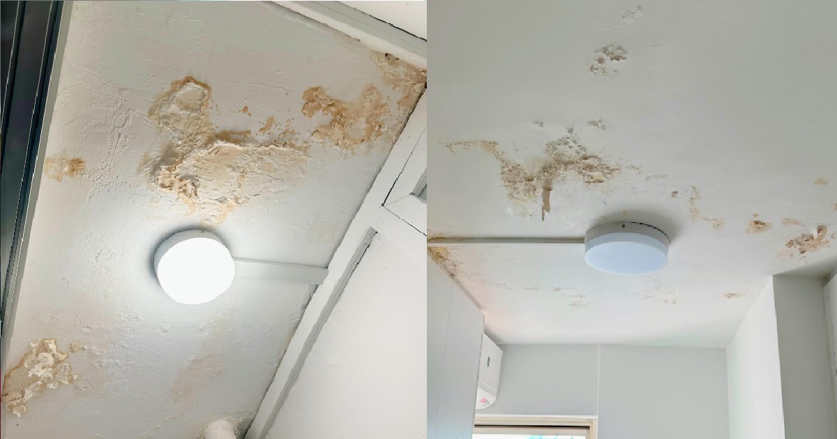 MAN BOUGHT A “NEWLY RENOVATED” UNIT, FOUND KANASAI-LOOKING CEILING PEELING