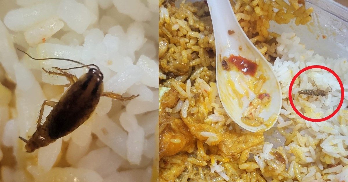 COCKROACH FOUND IN NETIZEN’S TAKEAWAY FROM SUPERIOR KITCHEN @ YISHUN