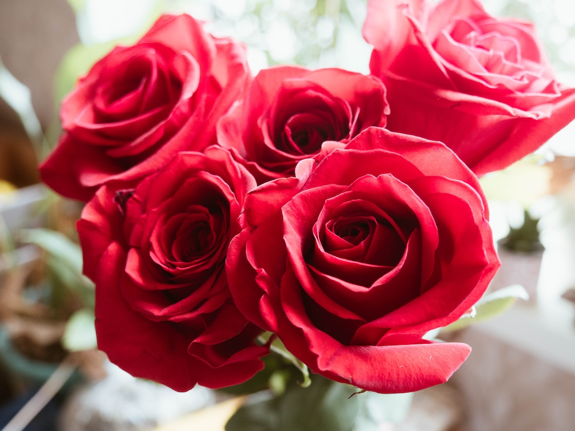 GIRL SAYS NO POINT RECEIVING FLOWERS ON VDAY, RATHER GET A GOOD MEAL