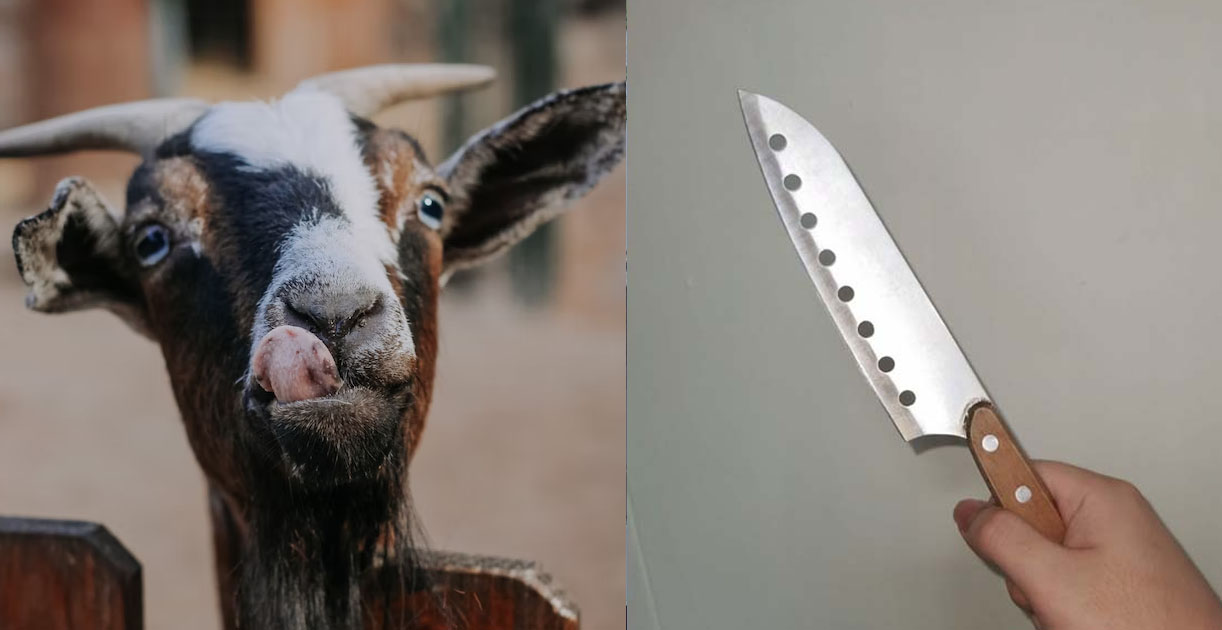 MAN DESCRIBES HOW HER MOTHER IS SO CRAZY THAT HER FATHER ALMOST STAB HER