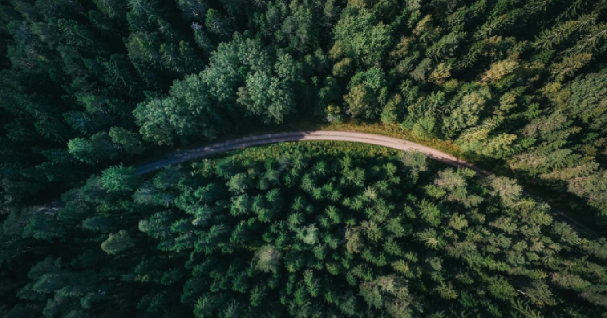 WOMAN WITH A HAIRY CB CAN’T FIND A MAN WHO ACCEPTS HER FOREST, KEEPS GETTING DUMPED