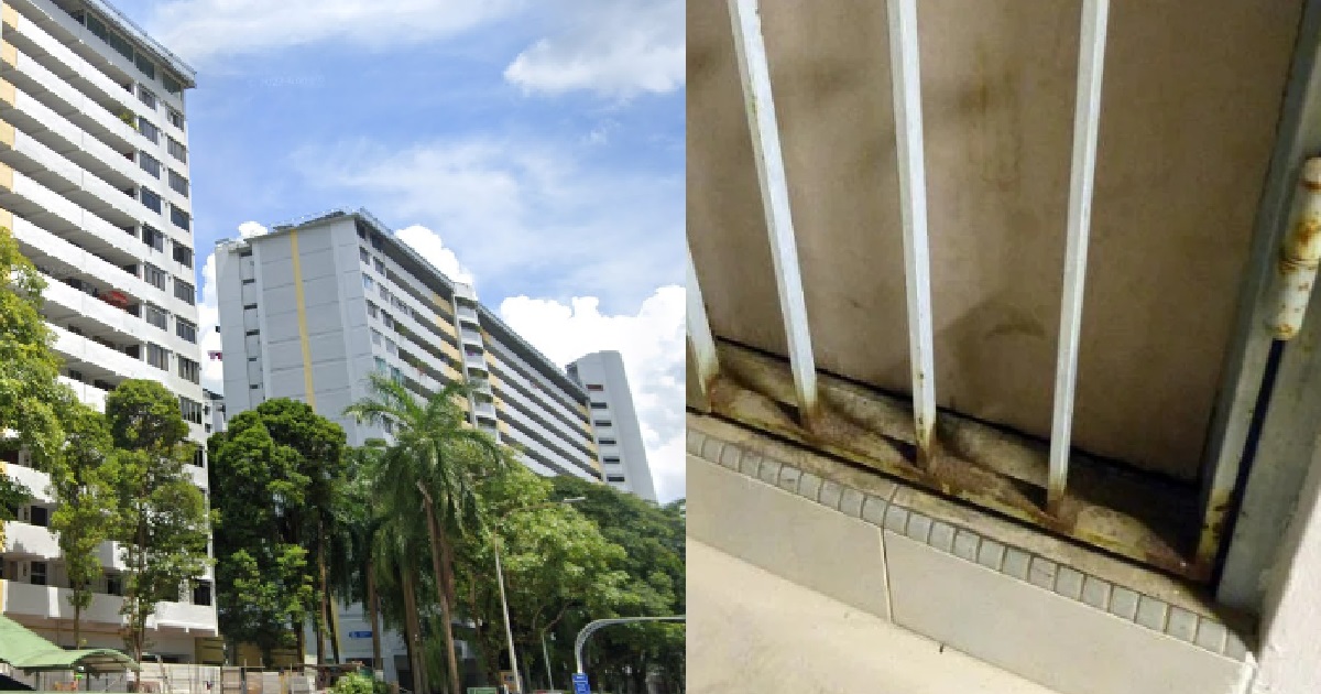 ROTTING BODY OF 83 Y.O WOMAN FOUND IN GHIM MOH, FOUL SMELL & FLIES COMING OUT OF UNIT