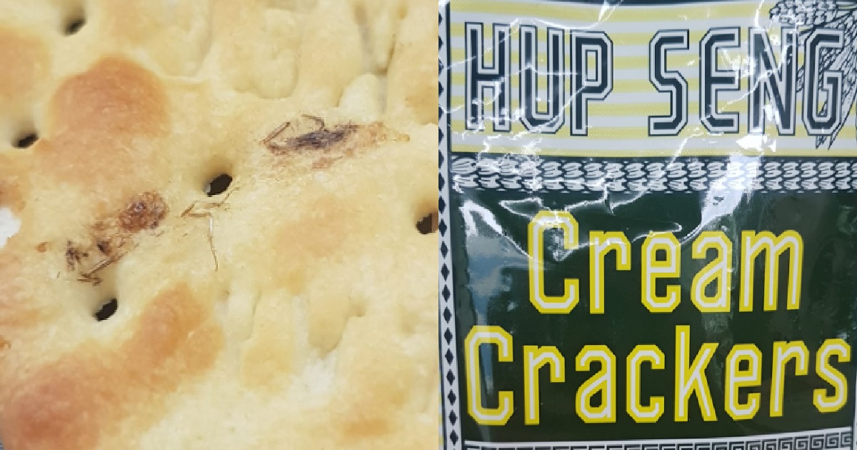 S’PORE MAN FOUND COCKROACH LEGS IN HIS CRACKER BISCUITS BOUGHT FROM MINIMART @ SENGKANG