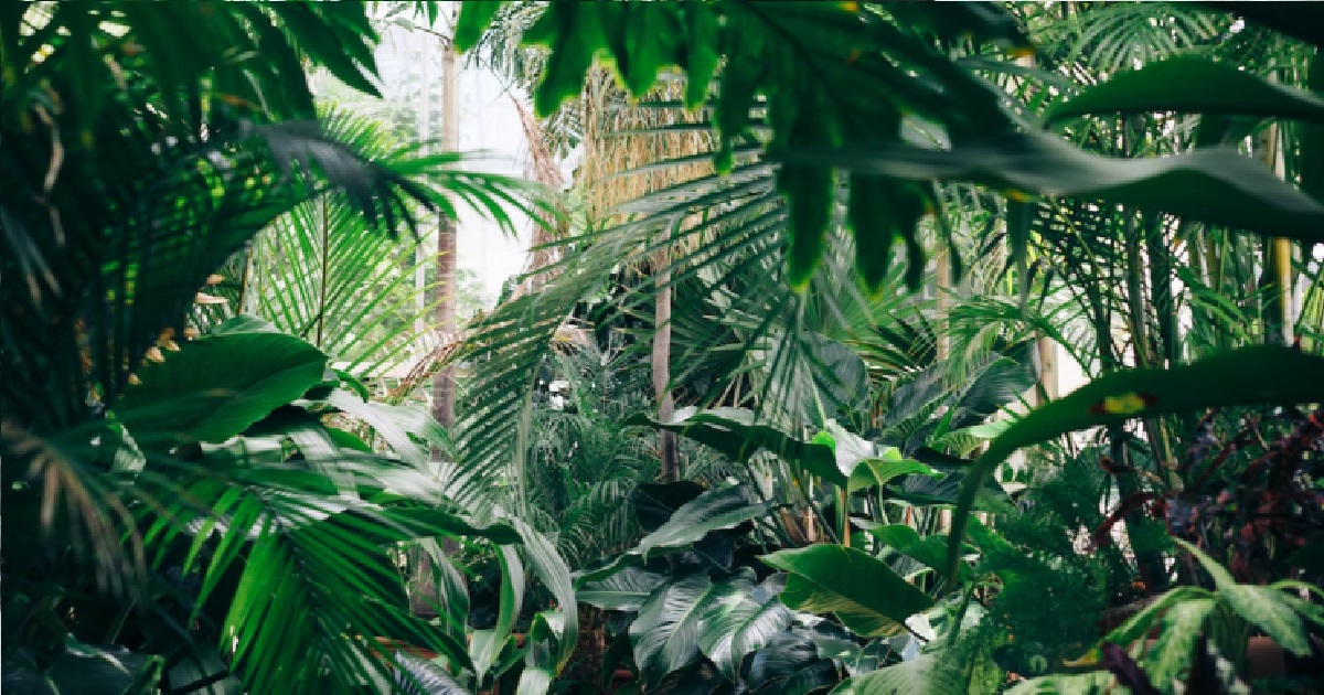 BF SUGGESTS BRAZILIAN WAX AS DATE IDEA BECAUSE GF’S DOWN THERE LIKE JUNGLE