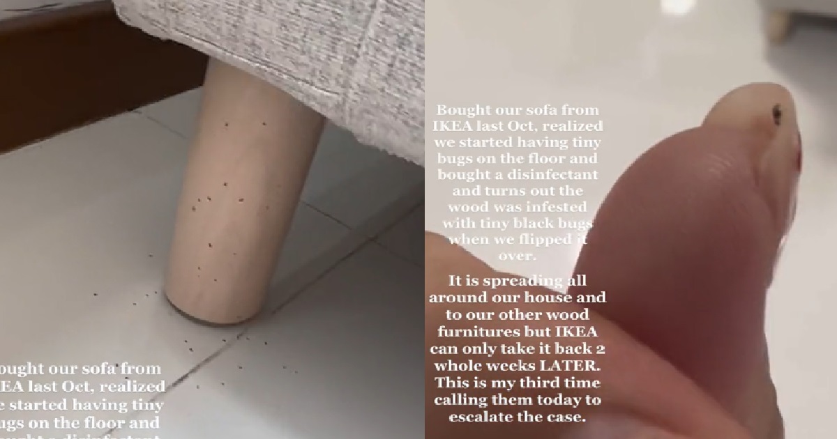 WOMAN BOUGHT SOFA FROM IKEA S’PORE, FOUND IT INFESTED WITH INSECTS