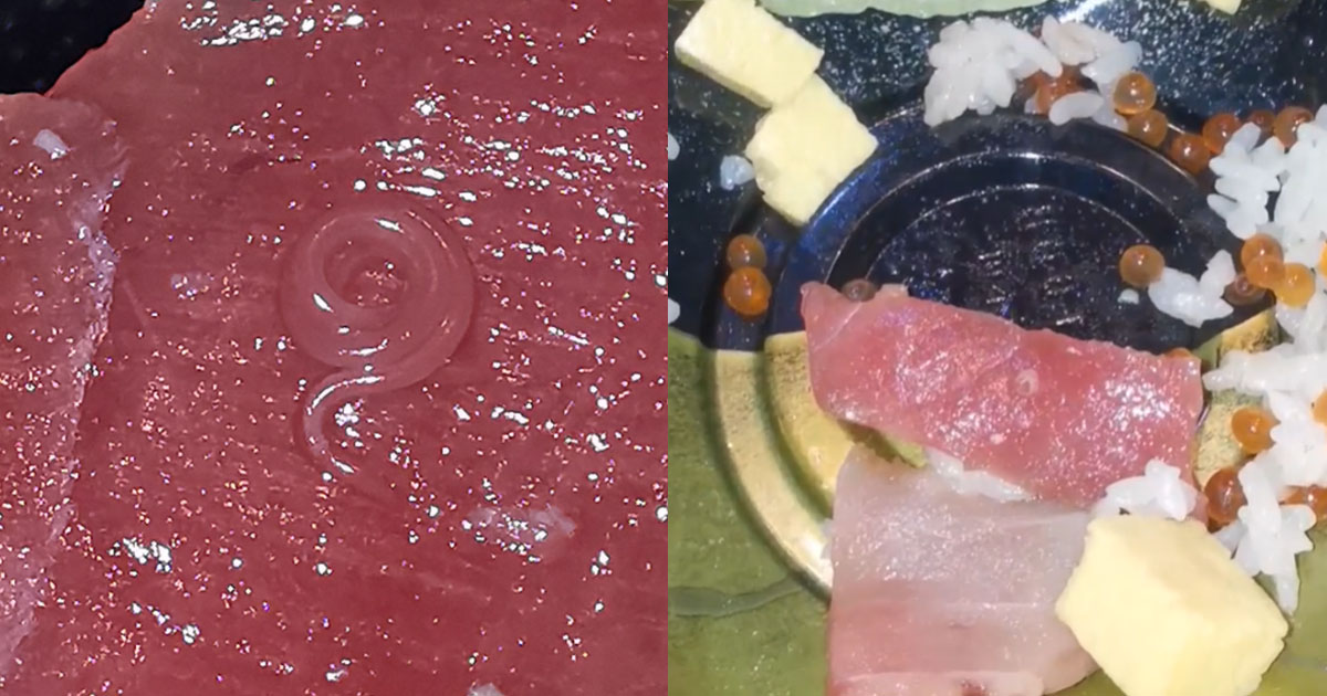 WOMAN FINDS MOVING PARASITIC-LOOKING WORM IN DON DON DONKI SASHIMI