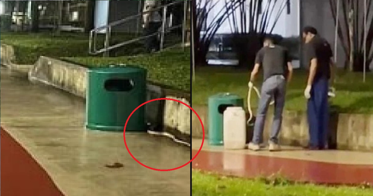 ELDERLY MAN USED RUBBISH BIN TO TRAP SNAKE, WHICH LATER DIED – ACRES SAYS “DON’T DO IT”