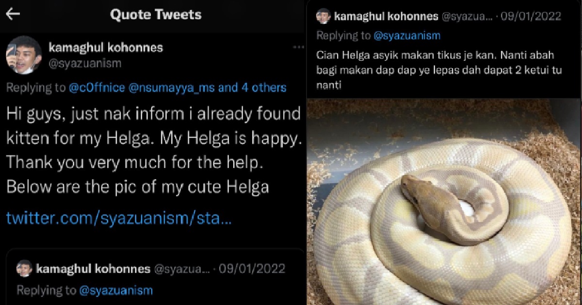 MAN ADOPTS KITTENS JUST TO FEED HIS PET SNAKE, SLAMMED BY NETIZENS FOR CRUELTY