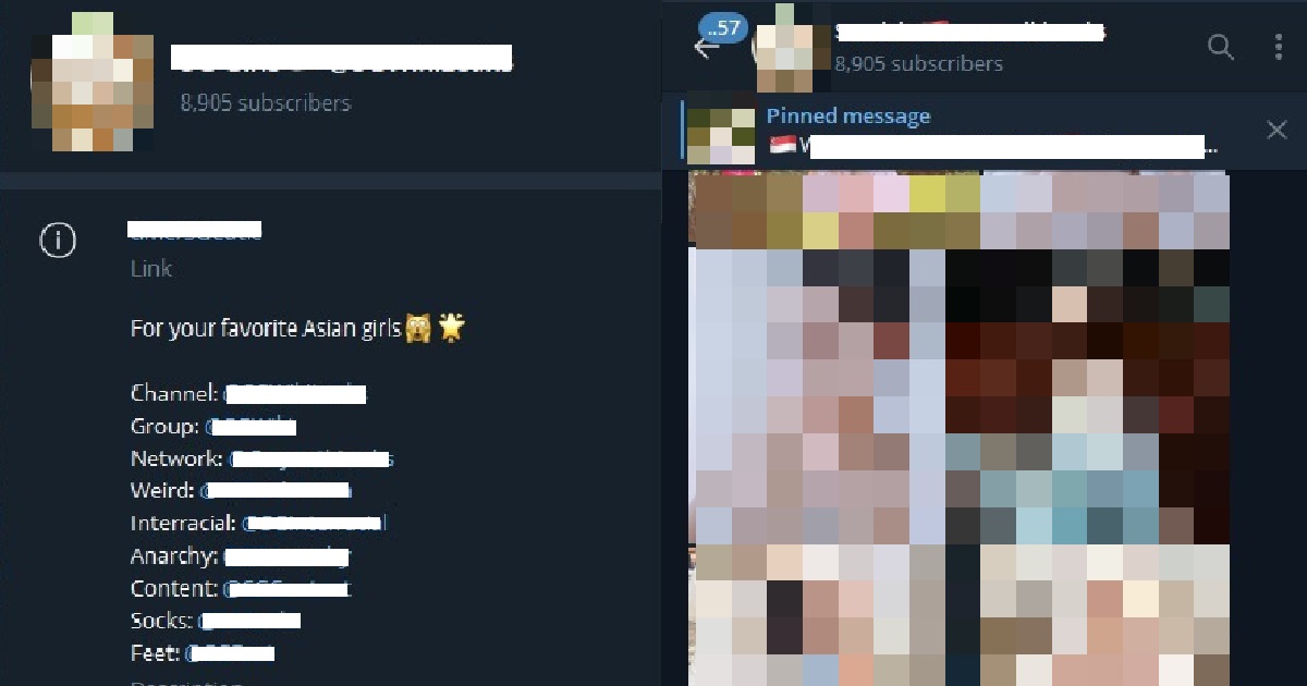 S’PORE POLICE INVESTIGATING TELEGRAM GROUP FOR SPREADING OBSCENE PICS OF SG GIRLS