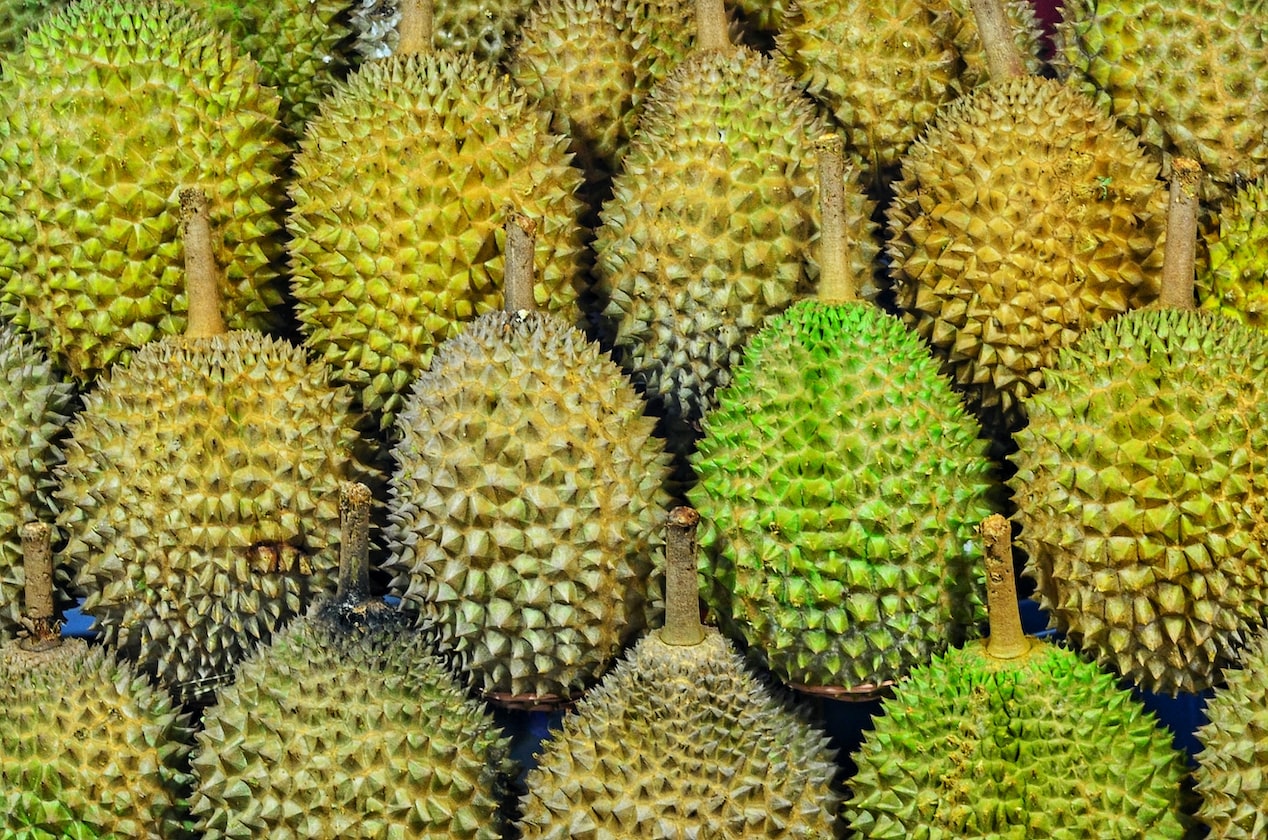 GIRL DUMPS ‘POOR’ BF, REGRETS AFTER BECAUSE HIS FAMILY OWNS DURIAN PLANTATIONS