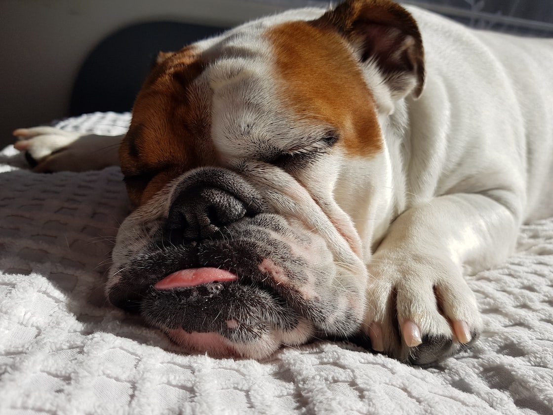 HOLIDAY TURNED NIGHTMARE AFTER FRIEND SNORES & MOAN AT THE SAME TIME