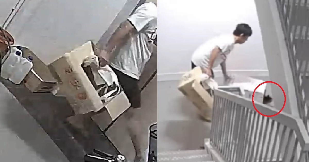 MAN CAUGHT KICKING CAT INTO BOX OUTSIDE HDB UNIT, THEN THROWS IT OUT @ STAIRCASE