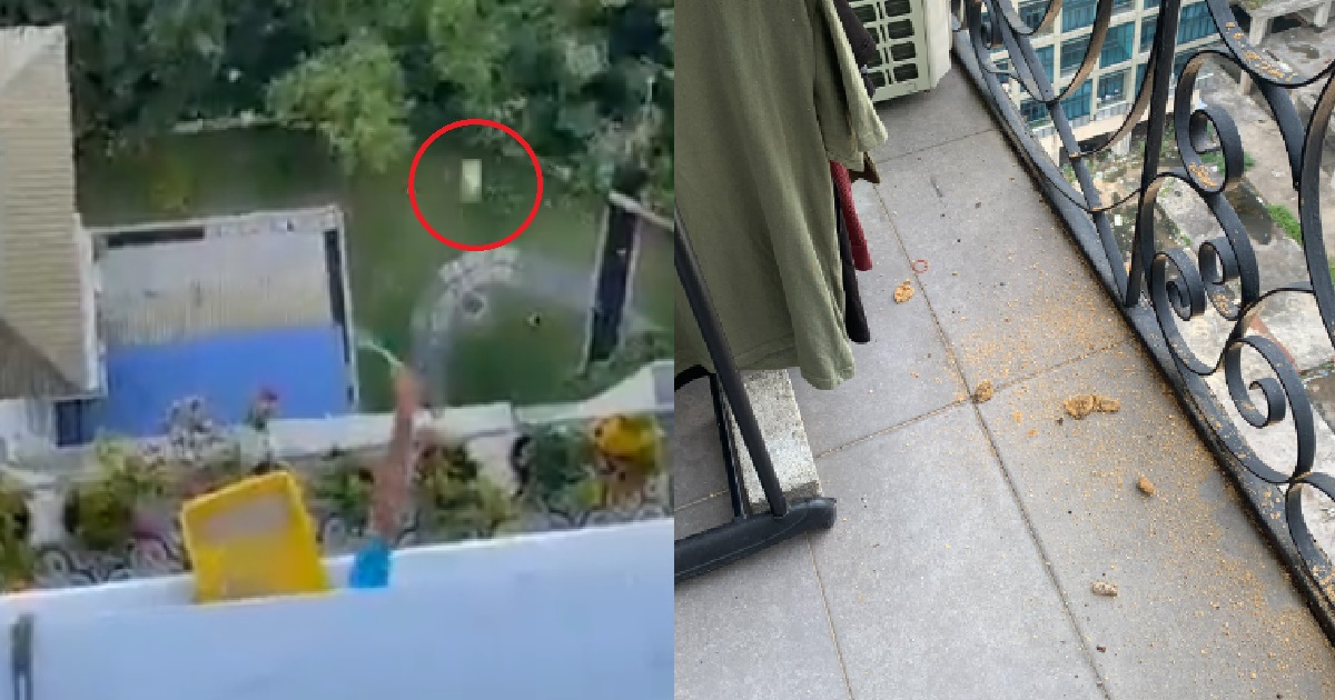 NEIGHBOUR CAUGHT THROWING CAT POOP DOWN FROM THEIR CONDO BALCONY
