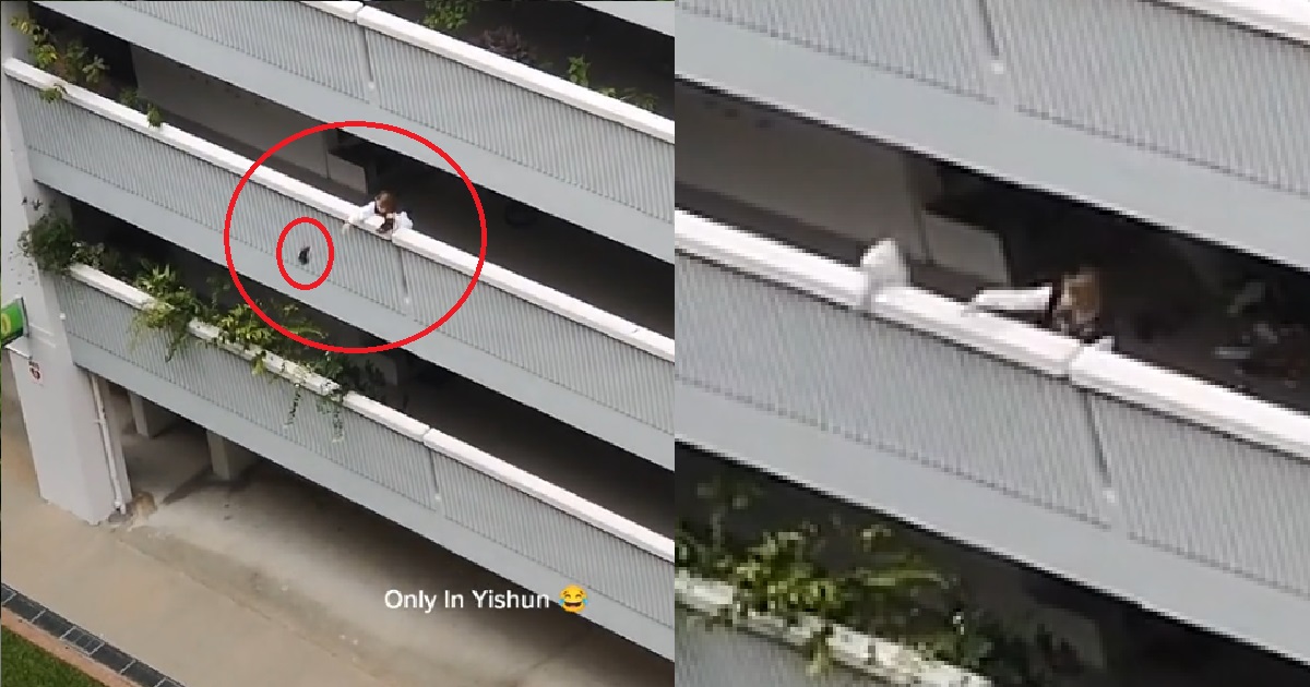 WOMAN THINKS SHE’S KOBE BRYANT, THROW SHOES DOWN FROM 3RD FLOOR HDB @ YISHUN