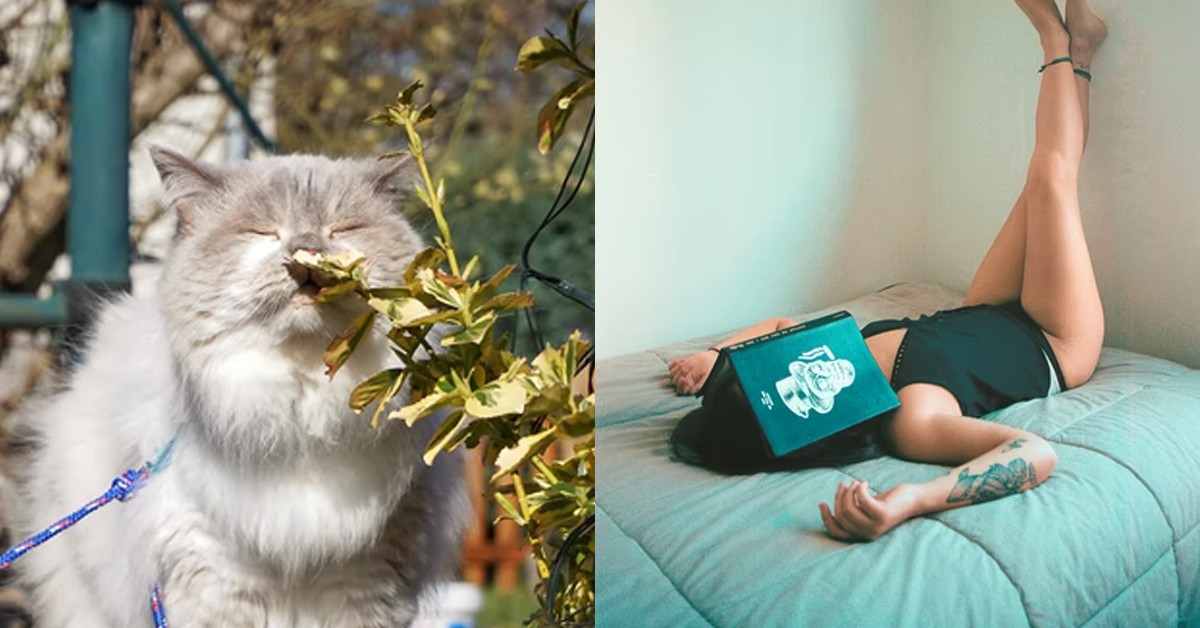 MAN BUYS USED & STAINED PANTIES TO SATISFY HIS NOSTRILS