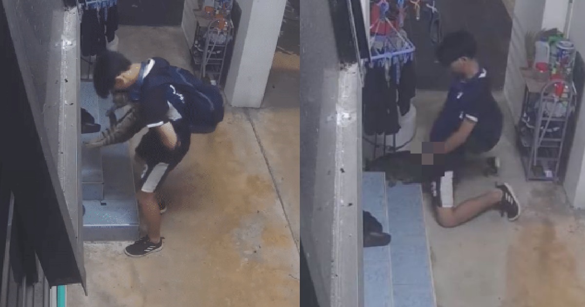 SICK GUY PULLED DOWN PANTS & HUMPED MAN’S CAT @ BUKIT PANJANG, OWNER SEEKS JUSTICE