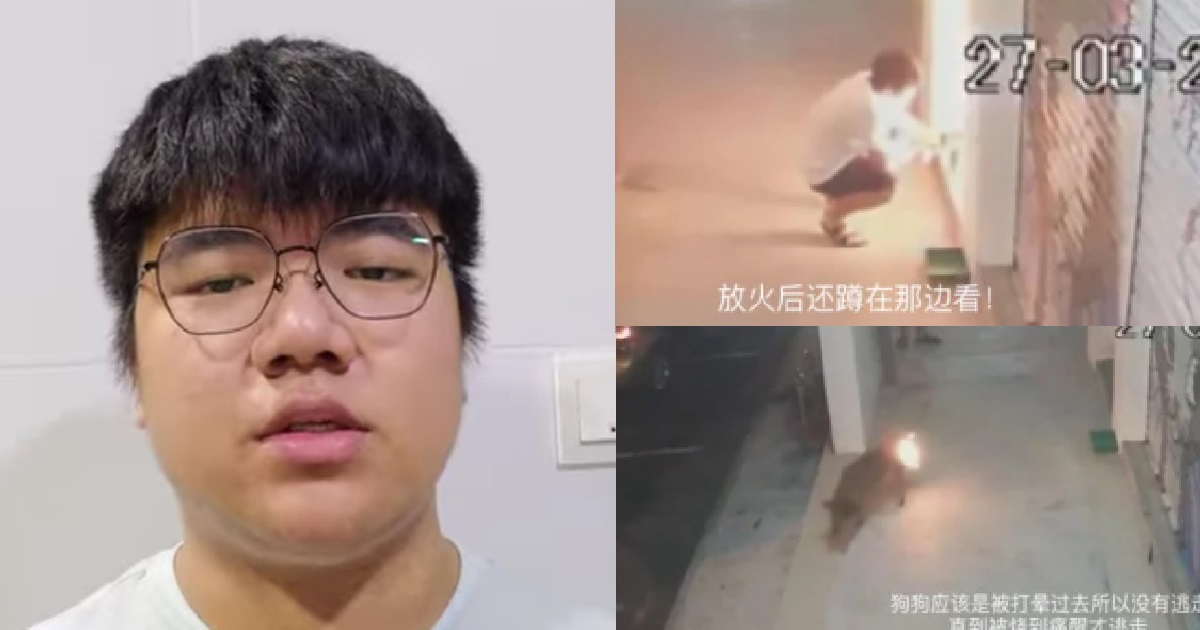 MAN WHO WAS SUPPOSED TO BE CANED FOR SETTING DOG ON FIRE, HAS SENTENCE DISMISSED