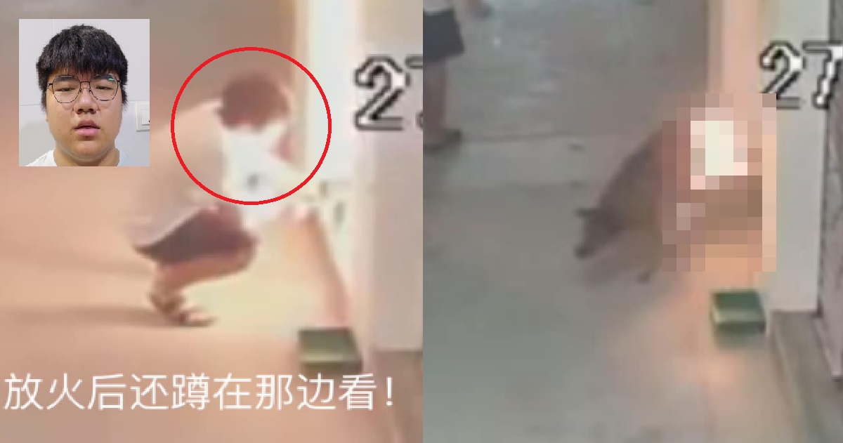 HEARTLESS MAN BRUTALLY BEATS DOG UP WITH STICK & BRICKS, THEN SETS IT ON FIRE