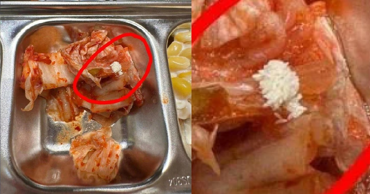 WOMAN ALLEGEDLY FINDS INSECT EGGS IN HER KIMCHI, COOK SAYS IT’S “CABBAGE ROOT”