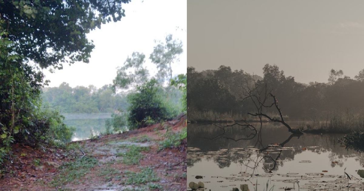 20 Y.O S’PORE MAN MISSING IN PULAU UBIN, WENT SWIMMING IN LAKE INFESTED WITH CROCODILES