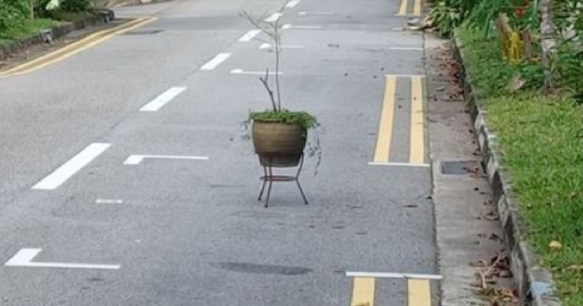DRIVER CHOPE PARKING LOT WITH POTTED PLANT @ BENDEMEER LIKE HIS AH GONG ROAD
